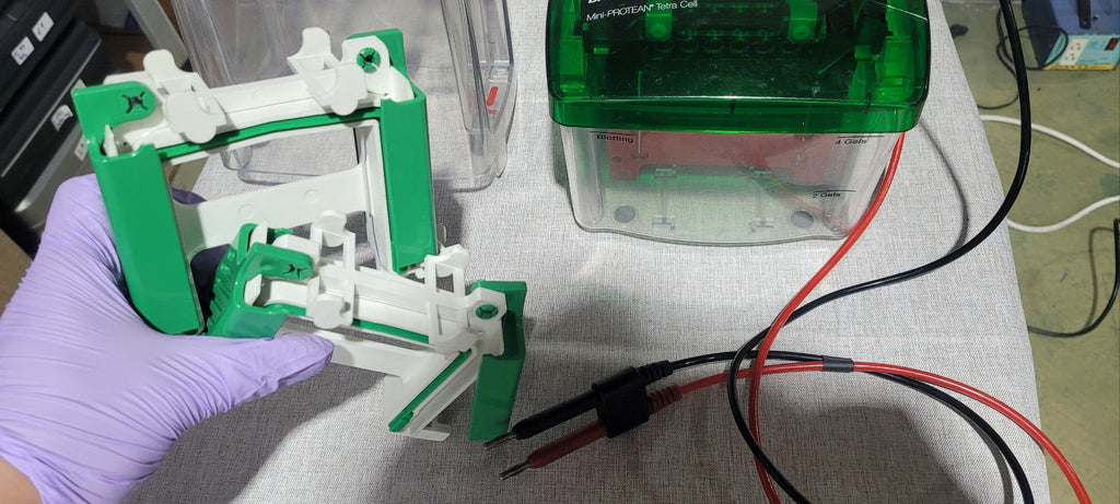 Used Biorad Mini Protean Tetra Cell With Trans Blot Module