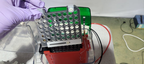 Used Biorad Mini Protean Tetra Cell With Trans Blot Module