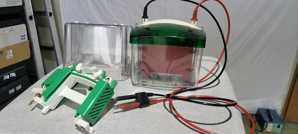 Used Biorad Mini Protean Tetra Cell With Trans Blot Module