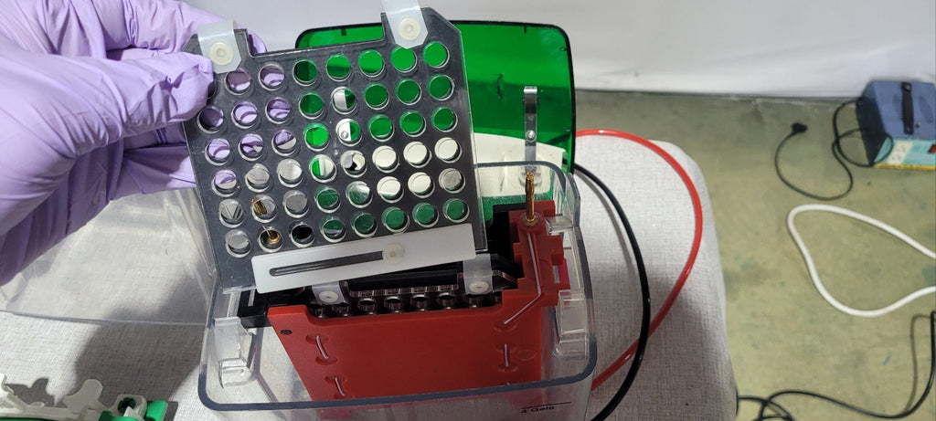 Used Biorad Mini Protean Tetra Cell With Trans Blot Module